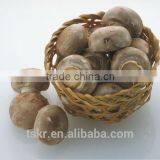 Fresh Shiitake Mushroom thumbnail-3