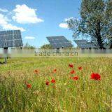 Bestsun High Quality Grid Switch 3000w Hot Sales Solar Products thumbnail-5