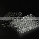 Culture Plate thumbnail-4