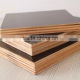 WBP glue film faced plywood with hardwood core
