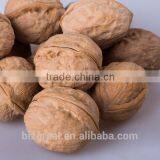 Supply With Chinese Bulk Walnuts in Shell for Sales
