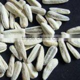 Chinese Roasted Salted Sunflower Seeds With Best Price
