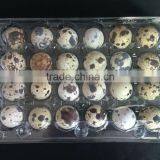 Manufacture Hot Sale Plastic Quail Egg Tray 6/12/18/20/24/30 thumbnail-6