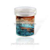 Insecet Viewer Cup Bug Magnifying Glass Two Way Insect Viewer Hottest Insect Viewer for Outdoor Catching Fun