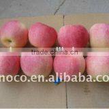 Good Quality Red Gala Apple thumbnail-1