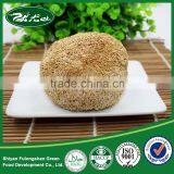 Natural Dried Organic Hericium Erinaceus Extract/Monkey Head Mushroom,Green and Healthy Food thumbnail-3