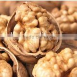 chinese product export walnut kernels price