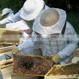 Henan Mingshengfeng Bio-Technology Co., Ltd. company overview - view 2 thumbnail