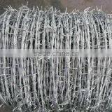 High Quality Cheap Barbed Wire/ Barbed Wire Making Machine China Supplier thumbnail-5