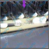 Best Selling Egg Yolk and White Seperator 10000pcs/h on Bakery Exhibition +86-133-3371-9169 thumbnail-4
