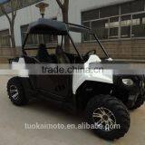 250cc UTV/hot Sales 250cc Cheap Utlity Sport Mini Kids Utv (TKG200-A2) thumbnail-2