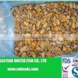IQF Cooked Blue Mussel Meat thumbnail-1