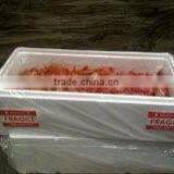 Live Spot Prawn thumbnail-4