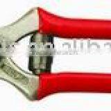 Apple Shear thumbnail-1