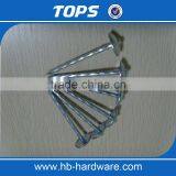 Galvanized Surface Treatment Umbrella Head Roofing Nails thumbnail-5