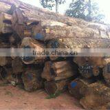 PYINKADO LOGS WITH BEST PRICE FROM LAOS thumbnail-1