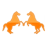 China Anping Dual-Horse Animal by products Factory