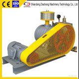 DSR100 Good Quality Roots Blower for Vacuum Impregnation thumbnail-2