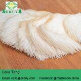 Mushroom Professional Manufacturer Supply Lions Mane Mushroom thumbnail-4