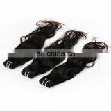 Wholesale Virgin Hair Natural Wave High Quality Raw Indian Hair Hair Bundle thumbnail-4