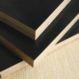 Hight Quality Competitive Price Film Faced Plywood thumbnail-5