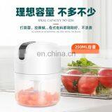 Mini Usb Rechargeable Personal Portable Blender Automatic Blender Food Chopper thumbnail-3