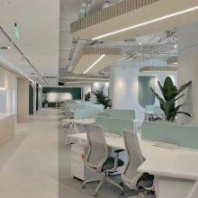 Foshan Duhaoshu Trade Company Limited company overview - view 1 thumbnail