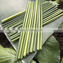 100% Natural Eco Friendly Grass Drinking Straws/ Biodegradable Grass Drinking Straws Best Price From Vietnam thumbnail-4