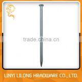 Galvanized Grooved Concrete Nail With High Quality thumbnail-5