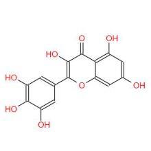 Find Complete Details About High Purity Myricetin/cas:529-44-2 thumbnail-2