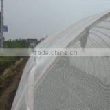 Anti-insect Screen for Agriculture thumbnail-4