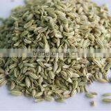 Fennel Seeds / Jintan Manis thumbnail-1