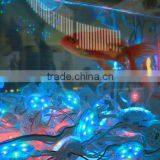 Hot Products Waterproof IP68 CE FCC Approved Outdoor Led Smd 5050 thumbnail-3