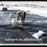 HDPE Black Geomembrane for Landfill 1.0mm/27Mpa Lowest Price thumbnail-6