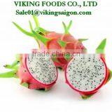 WHITE DRAGON FRUIT _ GOOD QUALITY _ GOOD PRICE thumbnail-5