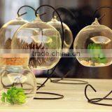Hand Blown Different Types Clear Glass Vase Terrarium for Home Quality Choice thumbnail-3
