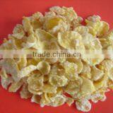 Hot Sale Corn Flakes Snack Food Production Line thumbnail-4