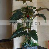 Corridor Decor Large Artificial Taro Plant thumbnail-1