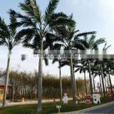 Custom Size Artificial Coconut Tree