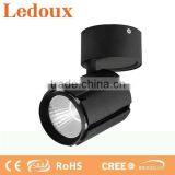 Adjustable 30w COB LED Ceiling Light