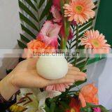 Japanese Natural Spa Sponge thumbnail-1