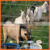 Edge Wire 2.0mm The Inner Wire is 1.8mm Farm Fence / Cattle Fence Netting / Grassland Fence Cheap Farm Fence thumbnail-2