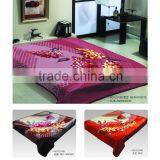 2015 NEW DESIGNS 1ply&2ply Raschel Quality Hot Compressed Embossed Raschel Korean Style Blanket NO.15001 thumbnail-1