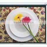 VS Manual Screen/pull Down Screen/wall Screen/projection Screen/fast Fold Screen/fixed Frame Screen