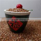 High Quality Roasted Buckwheat Kernel Price thumbnail-2