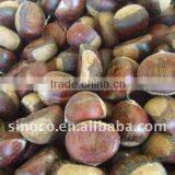 Sweet Chestnuts (40-60) thumbnail-1