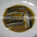 Canned Mackerel Fresh Mackerel Fish Canned Mackerel in Brine thumbnail-1