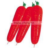 Red/Orange Carrot Seed Red Ginseng thumbnail-1