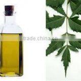 Neem Oil Suppliers thumbnail-1