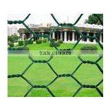 Hexagonal Iron Wire Netting